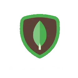 MongoDB - Skill - Ahmed Khaled Level:1